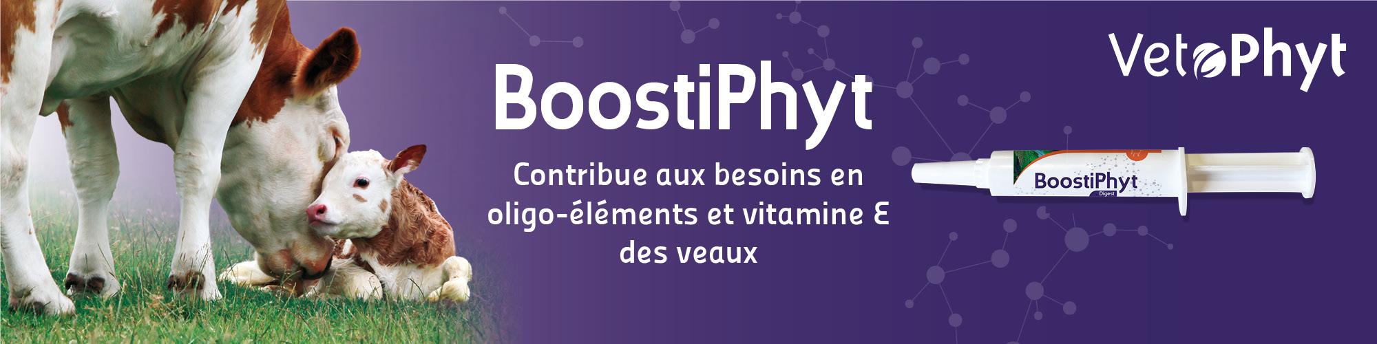 Boostiphyt