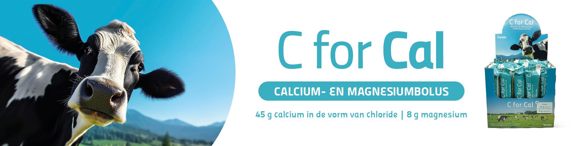 Calcium- en magnesiumbolus