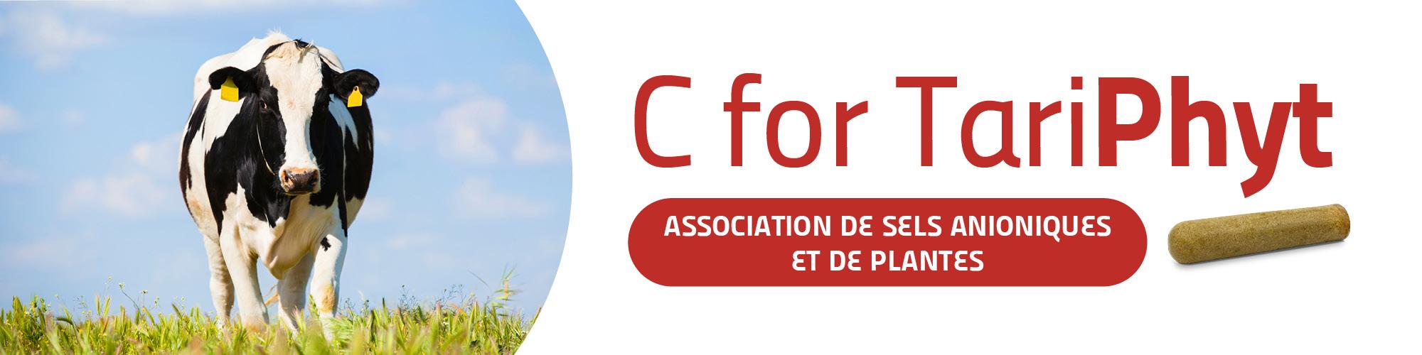 C for Tariphyt fiche technique