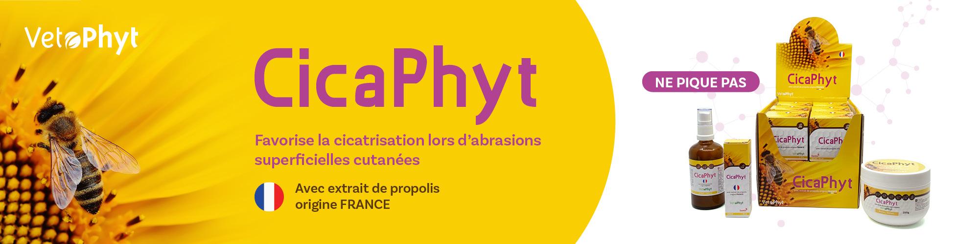 Cicaphyt, favorise la cicatrisation