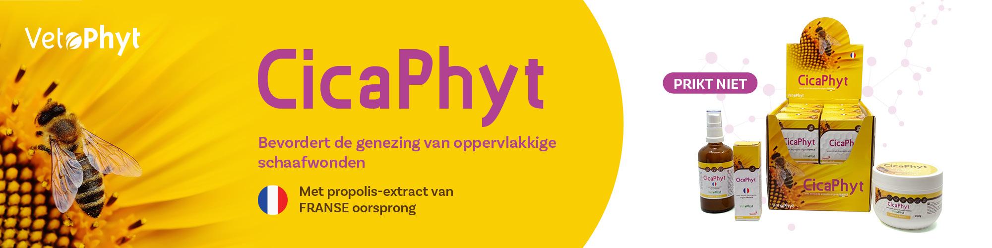 Bevordert de genezing van oppervlakkige schaafwonden 