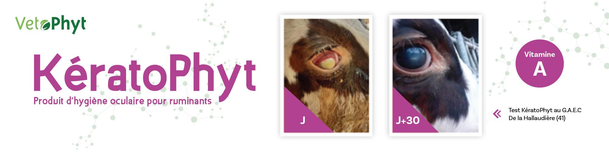 Keratophyt, produit d'hygiène oculaire pour ruminants