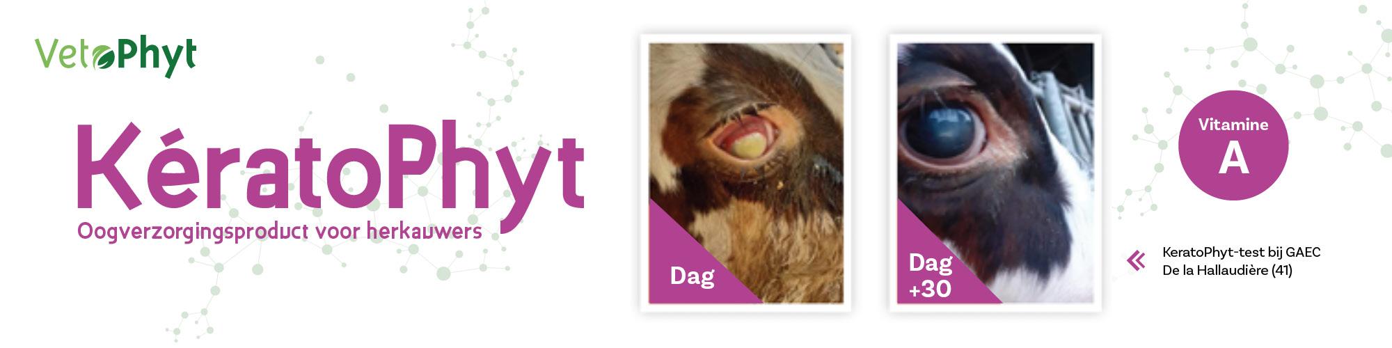 Oogverzorgingsproduct voor herkauwers