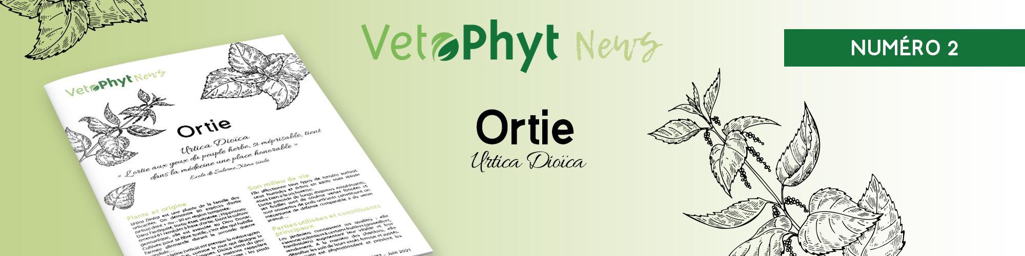 VetoPhyt News Ortie
