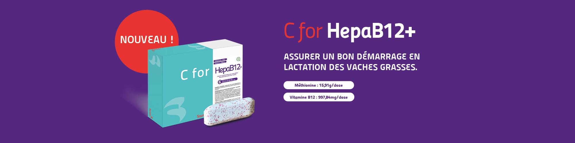 C for HepaB12+