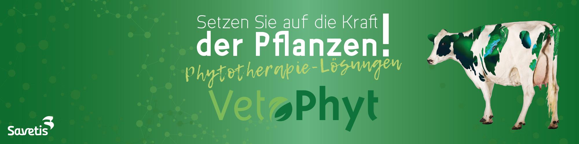 Phytotherapie-Lösungen