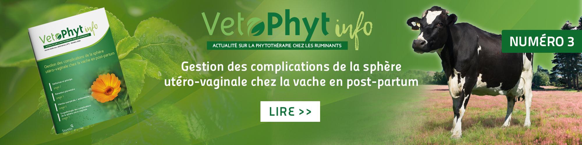 VetoPhyt Info post partum