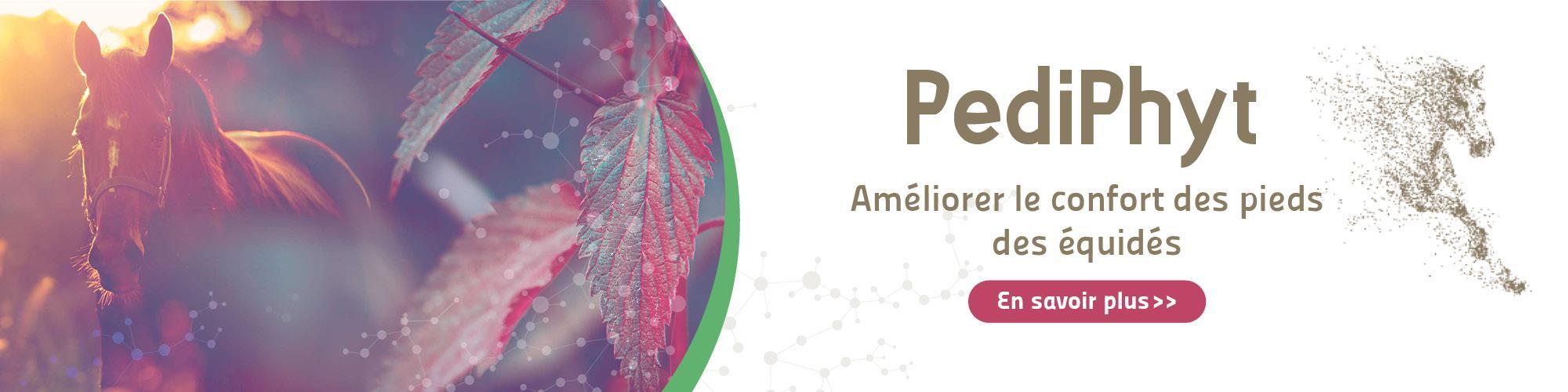 aliments-complémentaires-animaux