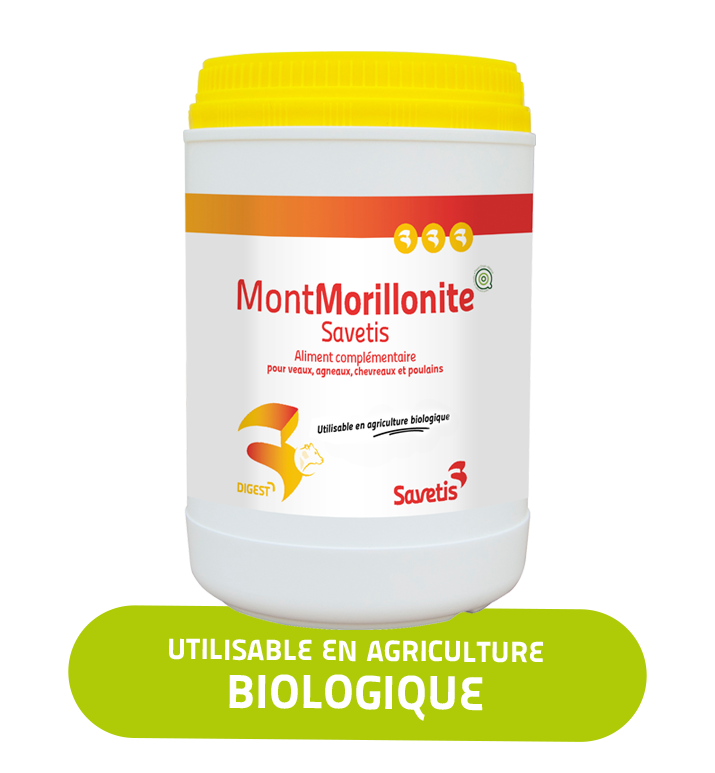 Montmorillonite