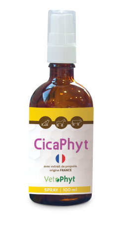 Cicaphyt Spray avec propolis cicatrisant