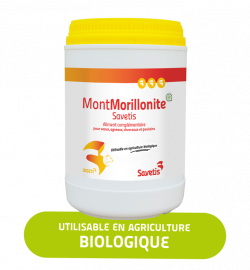 Montmorillonite